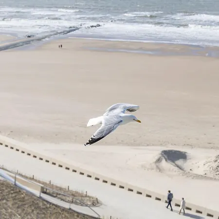 On The 7th Floor With Sea View * Middelkerke